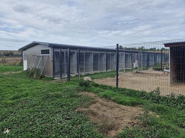 MAISON 137m2 + DÉPENDANCES + ÉLEVAGE CANIN SUR 5,7 HA DE TERRAIN Proche de AIRE SUR L'ADOUR (40)