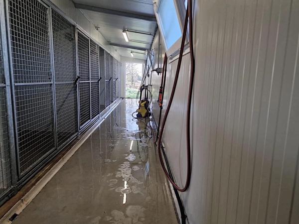 MAISON 137m2 + DÉPENDANCES + ÉLEVAGE CANIN SUR 5,7 HA DE TERRAIN Proche de AIRE SUR L'ADOUR (40)