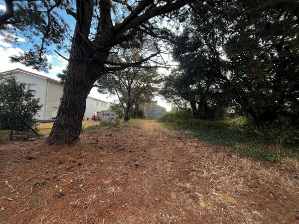 Maison de plain-pied sur un grand terrain