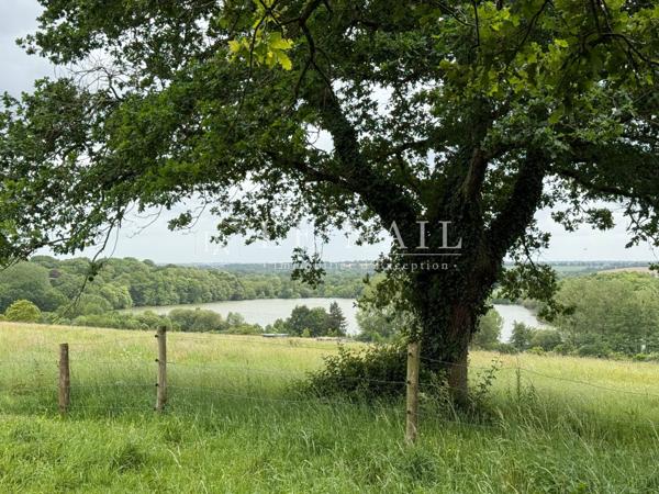 Château XIXe sur 6,5 ha, aux confins de l’Anjou et de la Bretagne