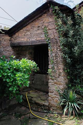 Découvrez un havre de paix respectueux de l'environnement