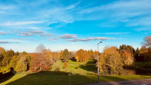 Appartement Epinal 3 pièce(s) 67 m2