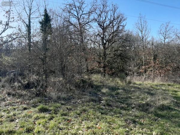 Terrain à Batir à vendre à Montdoumerc dans le Lot (46230), ref : 009/1666