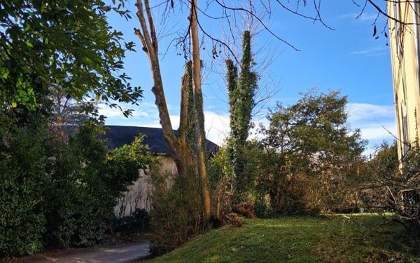 Appartement à louer    2 pièces •  Cosne-Cours-sur-Loire