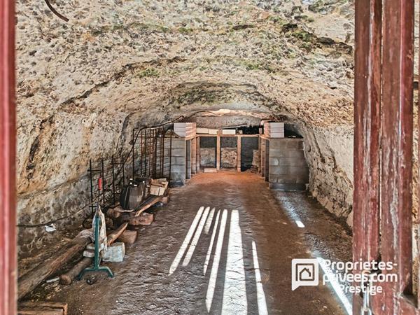 Propriété de charme .Maison bourgeoise en tuffeau, dépendance XVII, parc paysager