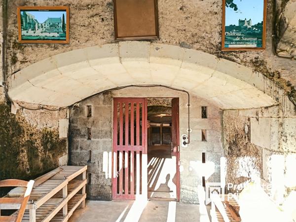 Propriété de charme .Maison bourgeoise en tuffeau, dépendance XVII, parc paysager