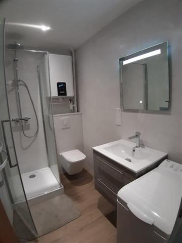 Location Appartement 25.85 m² - Saint-dié-des-vosges 88100