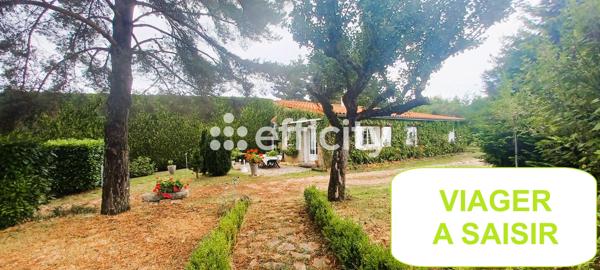 Maison 5 pièces - 87 m² Exclusivité efficity