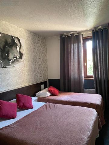 Fonds et/ou murs commerciaux à vendre à Digoin en Saône-et-Loire (71160), ref : PRO-E-DI