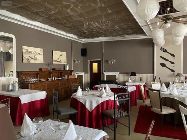 Fonds et/ou murs commerciaux à vendre à Digoin en Saône-et-Loire (71160), ref : PRO-E-DI