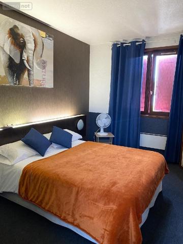 Fonds et/ou murs commerciaux à vendre à Digoin en Saône-et-Loire (71160), ref : PRO-E-DI