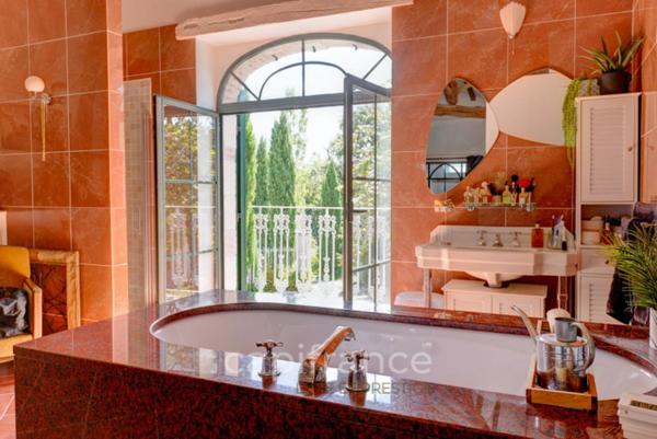 Magnifique Propriete à vendre 10 pièces proche de GAILLAC (81) Puycelsi