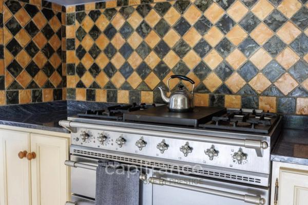 Magnifique Propriete à vendre 10 pièces proche de GAILLAC (81) Puycelsi