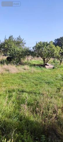 Maison à vendre à Saint-Paterne-Racan dans l'Indre-et-Loire (37370), ref : 042/1161