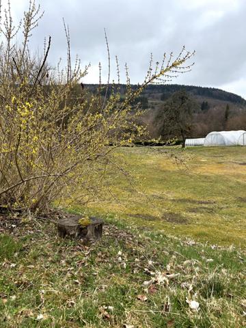 Terrain à bâtir secteur calme
