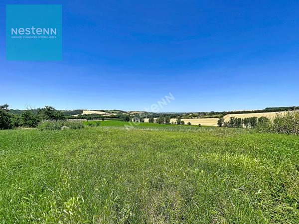 A Vendre, ferme lauragaise à rénover de 400m² au sol, avec combles aménageables, dépendances,  terrain de plus de 9000m² , sur les hauteurs de Gardouch