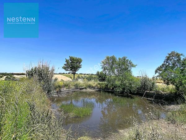 A Vendre, ferme lauragaise à rénover de 400m² au sol, avec combles aménageables, dépendances,  terrain de plus de 9000m² , sur les hauteurs de Gardouch
