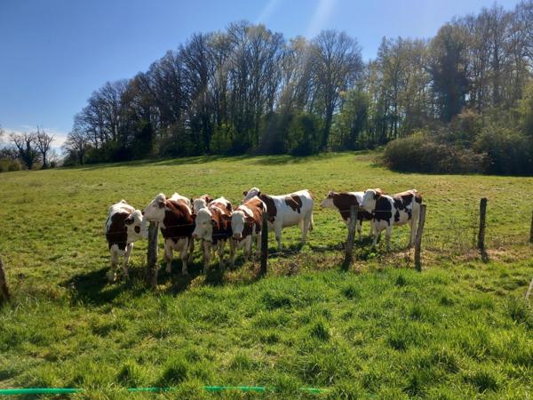 TERRAIN AGRICOLES