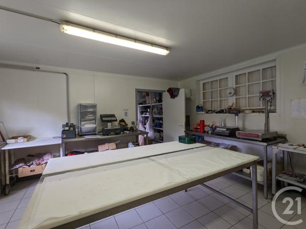 Maison à vendre  2 pièces - 290 m2 ST CYPRIEN - 24