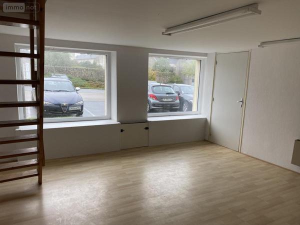 Local professionnel à vendre à Lesneven dans le Finistère (29260), ref : 29026-100