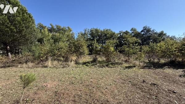 Terrain à bâtir - PUGET-SUR-ARGENS 