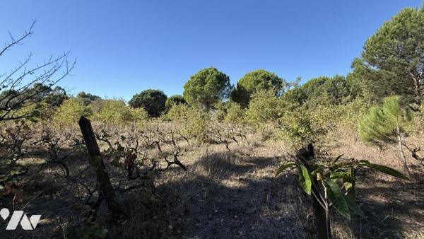 Terrain à bâtir - PUGET-SUR-ARGENS 