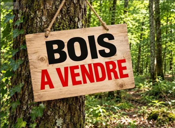 Achat - Terrain de loisirs, bois, étangs Pontivy 56300 18835 m 2