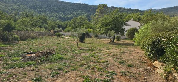 Maison à vendre Villa 6 pièces + piscine terrain 3000m² SOLLIES TOUCAS (83)