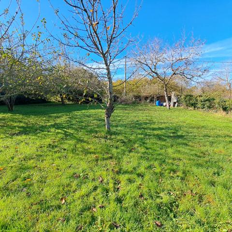 ENSEMBLE 3 LOGEMENTS + TERRAIN