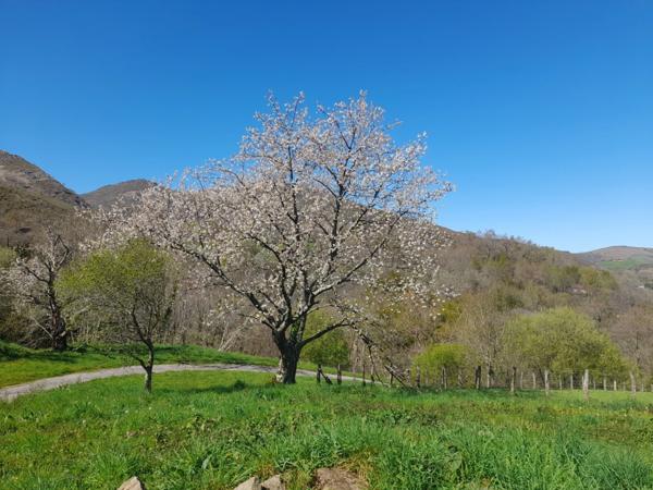 Propriete à vendre 7 pièces SARE (64)