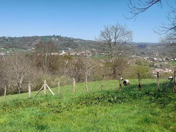 Propriete à vendre 7 pièces SARE (64)