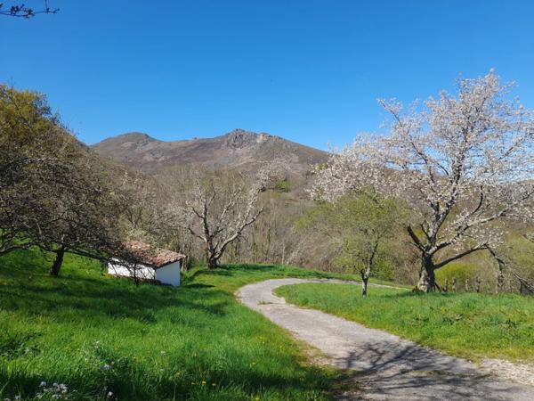 Propriete à vendre 7 pièces SARE (64)