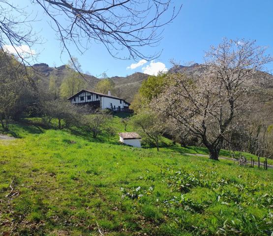 Propriete à vendre 7 pièces SARE (64)