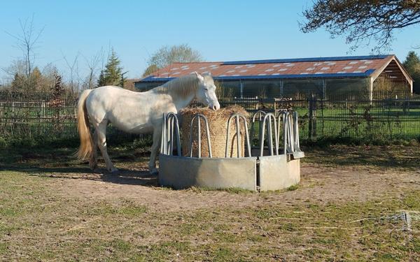 Maison à vendre    4 pièces •  Bourg-Achard