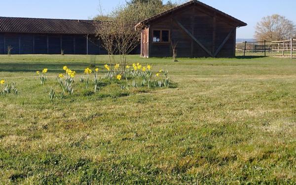 Maison à vendre    4 pièces •  Bourg-Achard