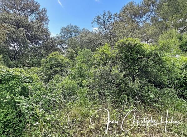 30900 NIMES Terrain à bâtir de 1000 m2 environ