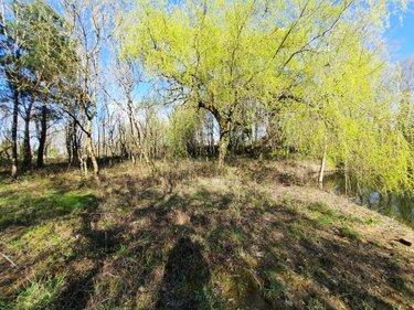 Terrain de loisirs - Bois - Etang à vendre à Challans en Vendée (85300), ref : 85091-5202