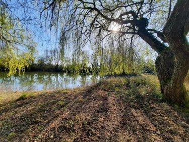 Terrain de loisirs - Bois - Etang à vendre à Challans en Vendée (85300), ref : 85091-5202