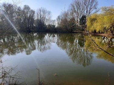 Terrain de loisirs - Bois - Etang à vendre à Challans en Vendée (85300), ref : 85091-5202