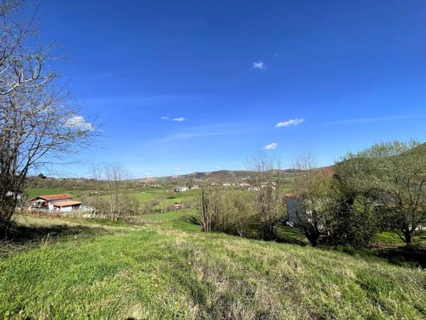 Vente Terrain 3437 m2 à Hasparren