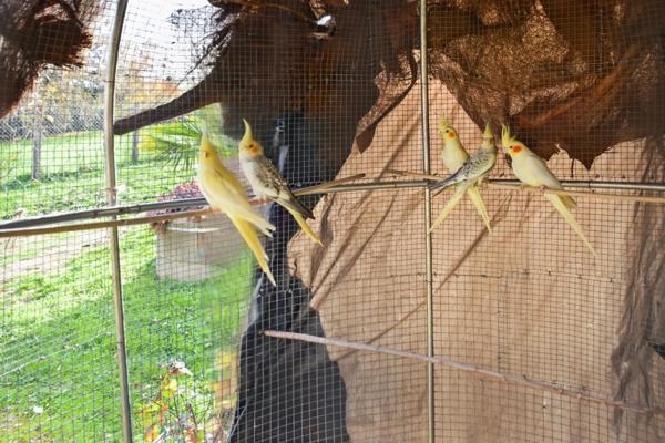 Maison à vendre de 118 m2 à COUCHES avec terrain et vue.