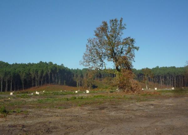 Terrain à vendre    Vielle-Saint-Girons