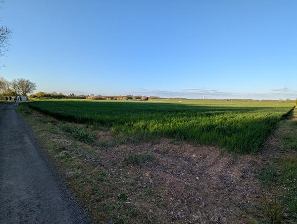 Havre de paix de plus de 2000m²