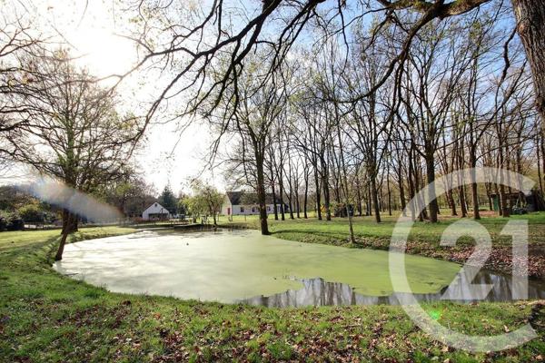 Maison à vendre  5 pièces - 191 m2 ST LAURENT NOUAN - 41