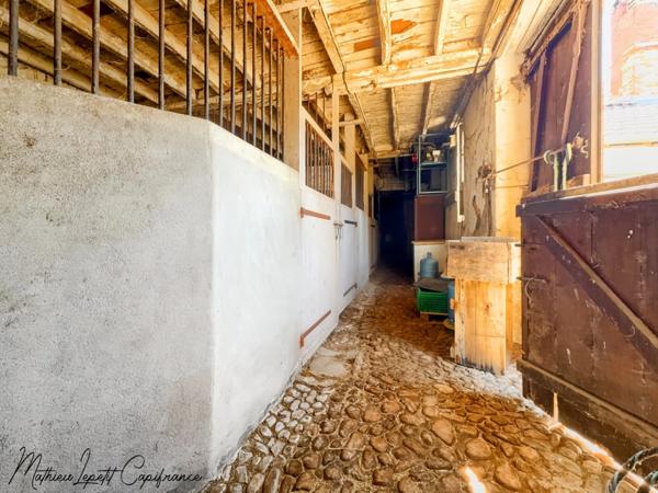 Maison à vendre 11 pièces SAINT PIERRE DE CHIGNAC (24) 280 M² habitables