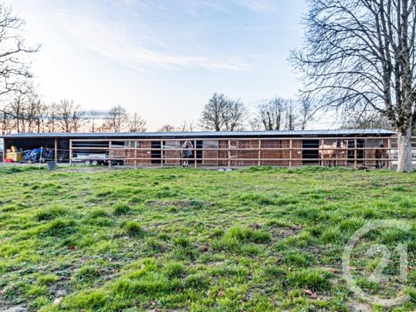 Maison à vendre  7 pièces - 394 m2 L HUISSERIE - 53