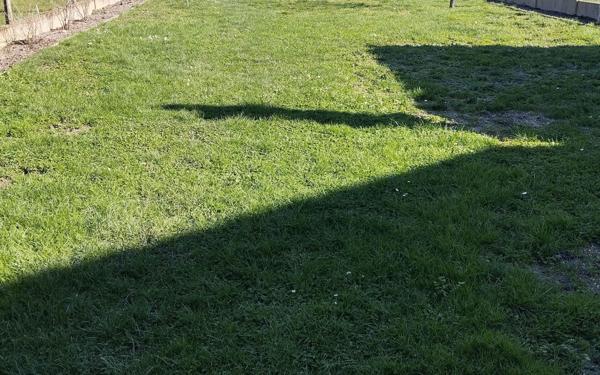 Maison à vendre    5 pièces •  Vierzon