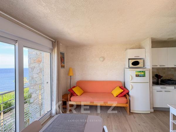 Appartement T3 avec Terrasse – Vue mer - Monticello