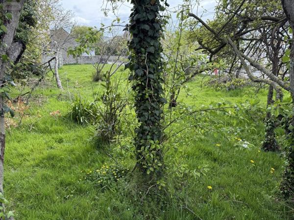 Terrain à Batir à vendre à Pléneuf-Val-André dans les Côtes-d'Armor (22370), ref : 025/2584   
PLENEUF VAL ANDRE - Centre Bourg