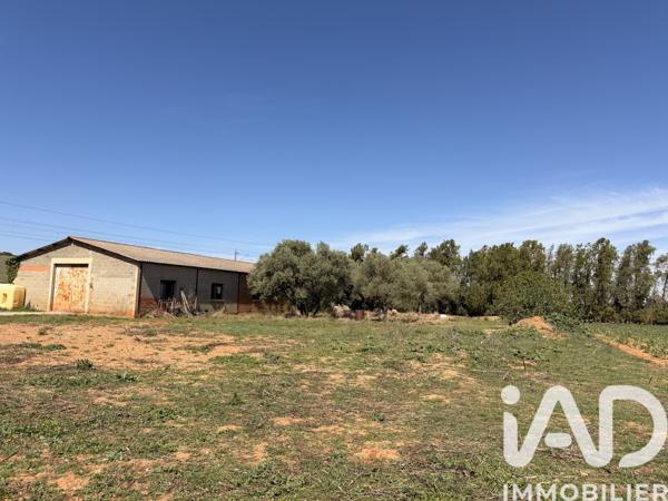 Maison à vendre 4 pièces 137,03 m² Mauguio